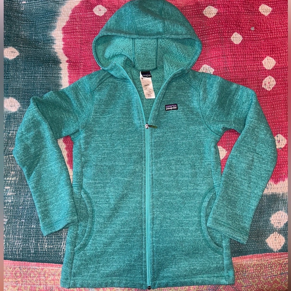 Patagonia Girl’s hooded Better Sweater